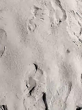 pegaso369 online show from 03/28/26, 11:11