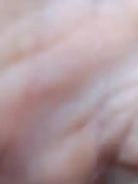 pegaso369 online show from 03/07/26, 11:16