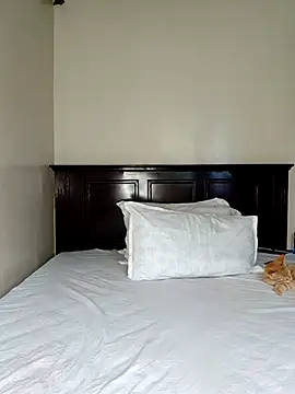 Nedambale online show from 02/14/26, 12:38