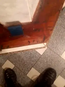 vergonvenco online show from 03/10/26, 05:44