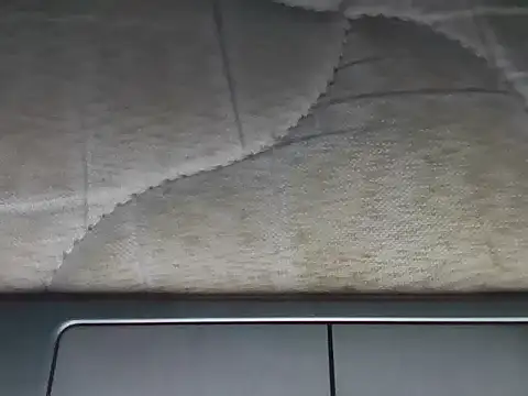 Lux y online show from 11/26/25, 01:49