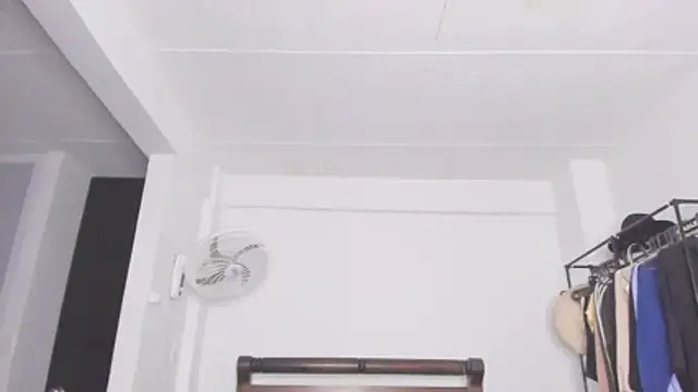 Jump rabbit online show from 01/11/26, 05:47