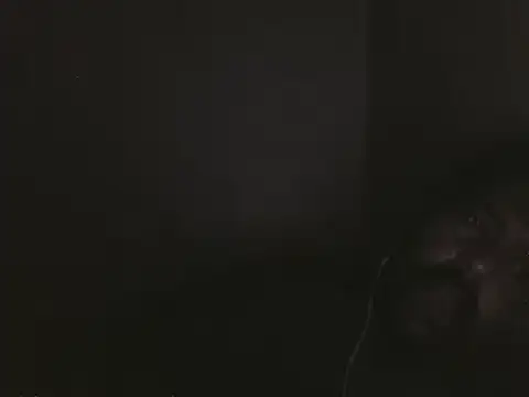 elpoop7305 online show from 02/11/26, 01:05