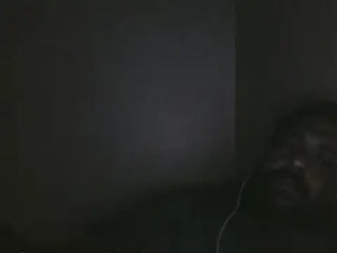 elpoop7305 online show from 01/09/26, 05:25