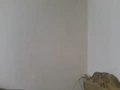 elpoop7305 online show from 03/15/26, 08:49