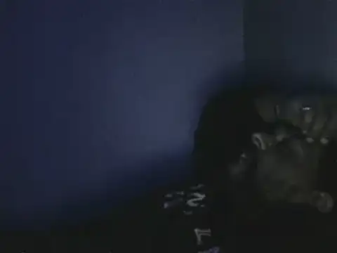 elpoop7305 online show from 10/19/25, 12:57