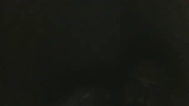 elpoop7305 online show from 03/30/26, 02:13