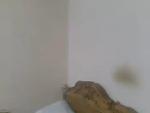 elpoop7305 online show from 05/08/26, 10:02