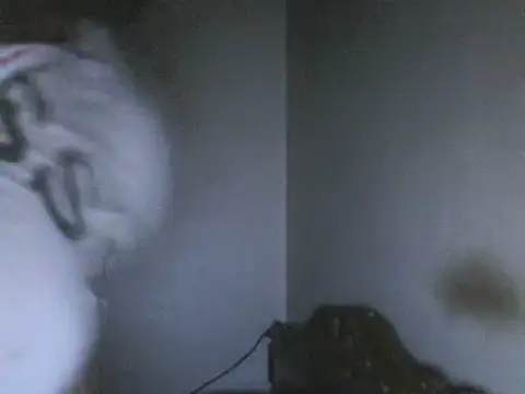 elpoop7305 online show from 05/18/26, 02:01
