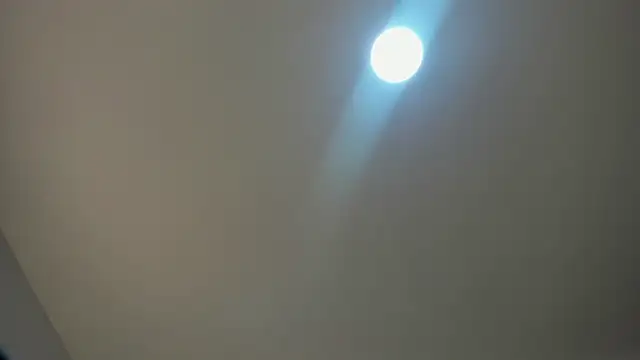 VioletRose as online show from 11/30/25, 08:09