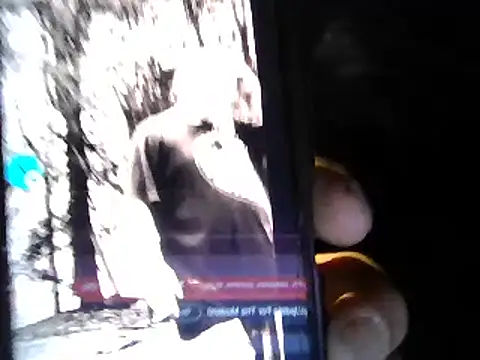 Eat it from the back online show from 11/08/25, 03:54