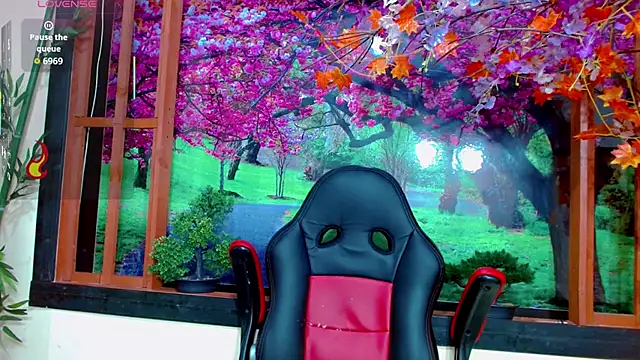 bayolet  online show from 12/03/25, 11:31