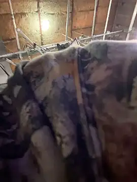 StrokingDaddy4 online show from 11/14/25, 11:36