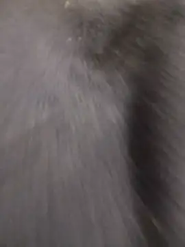 Funny Karina online show from 12/15/25, 06:36