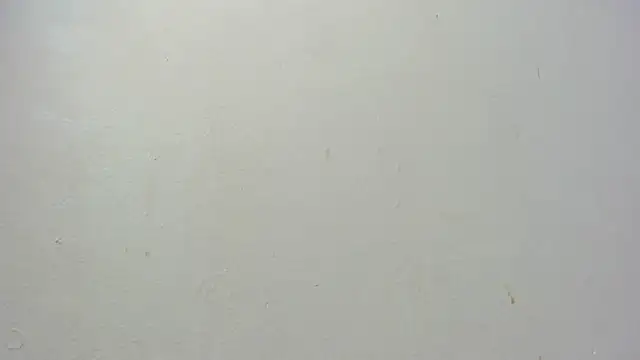 dominic de luca online show from 11/07/25, 02:38