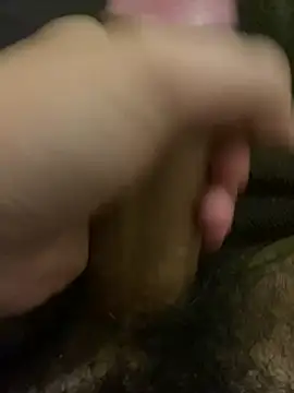 PilarDealer online show from 01/11/26, 01:34