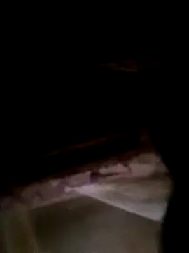 Snapshot of CoMay003 chatting on 02/23/26, 01:40 CoMay003 online show from 02/23/26, 01:40