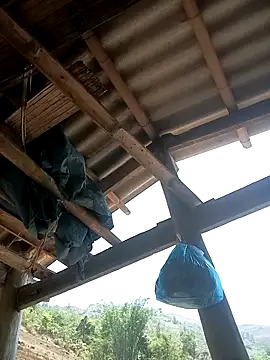 CoMay003 online show from 04/12/26, 04:49