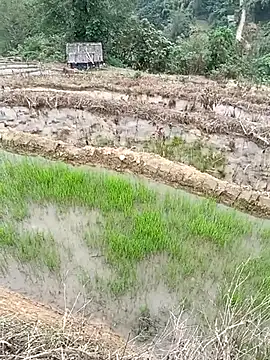 CoMay003 online show from 04/01/26, 06:15