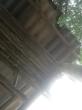 CoMay003 online show from 04/02/26, 05:25