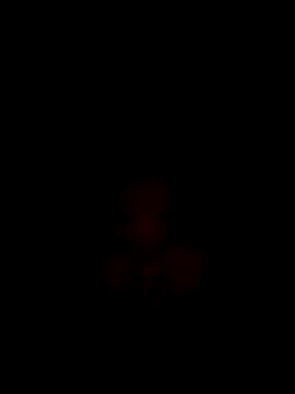 CoMay003 online show from 12/15/25, 12:16