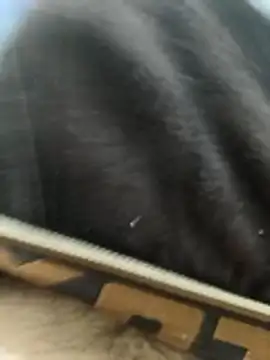 Bio-teacher online show from 04/23/26, 07:59