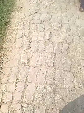 Snapshot of Bio-teacher chatting on 10/12/25, 08:05 Bio-teacher online show from 10/12/25, 08:05