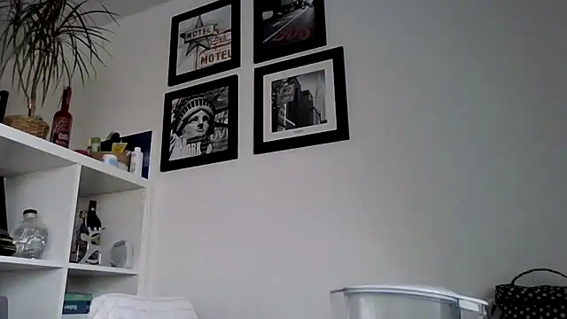 Snapshot of bigcockjohnxxxxx chatting on 11/12/25, 12:42 bigcockjohnxxxxx online show from 11/12/25, 12:42