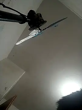 Ariihot online show from 11/12/25, 09:02