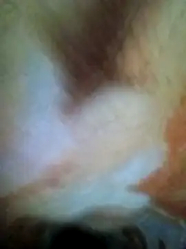 HOT-MUNDA online show from 12/17/25, 01:32