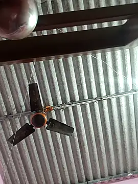 Cute-Swewty online show from 11/18/25, 02:53