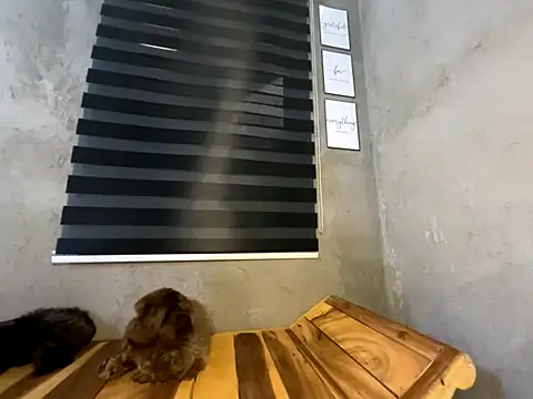 wild apple69 online show from 12/15/25, 07:25