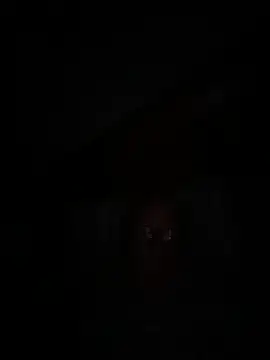 philefc online show from 09/27/25, 06:19