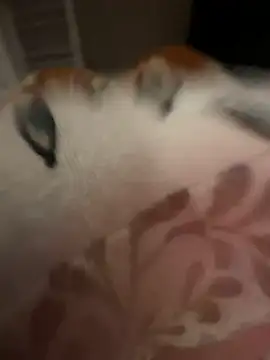 rockey118367 online show from 10/19/25, 09:45