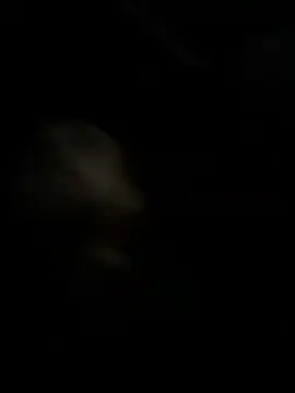 high3ndlowlife online show from 11/27/25, 02:12