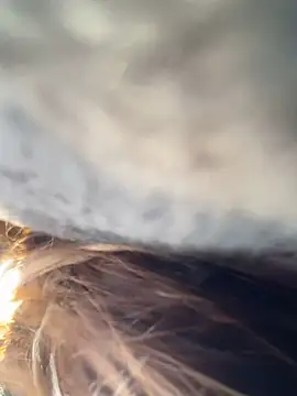   BabyShowPublic   online show from 03/28/26, 09:21