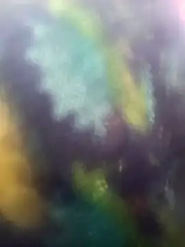 Juhi chawla online show from 11/18/25, 09:01