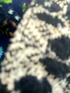 Juhi chawla online show from 11/11/25, 01:44