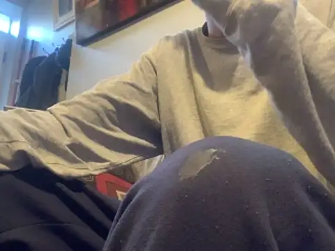 Insurance-03 online show from 11/21/25, 07:24