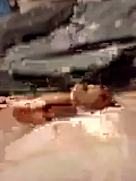 Snapshot of Anonimek942 chatting on 11/29/25, 11:49 Anonimek942 online show from 11/29/25, 11:49