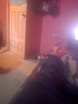 Snapshot of shessAz chatting on 02/07/26, 03:09 shessAz online show from 02/07/26, 03:09