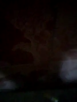 Snapshot of shessAz chatting on 04/02/26, 11:17 shessAz online show from 04/02/26, 11:17