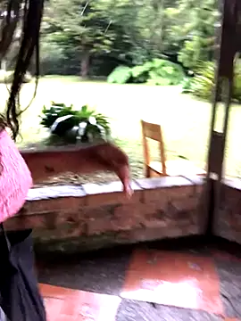 Snapshot of SophiaGuzman chatting on 10/11/25, 09:38 SophiaGuzman online show from 10/11/25, 09:38