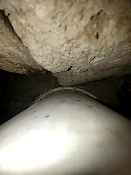 princexdcs online show from 02/10/26, 09:14