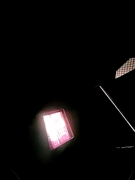 princexdcs online show from 02/07/26, 10:56