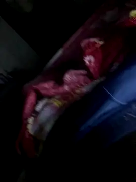 Snapshot of gaabpxn chatting on 11/11/25, 04:29 gaabpxn online show from 11/11/25, 04:29