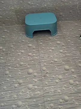 NoddingScorpion online show from 10/12/25, 04:03