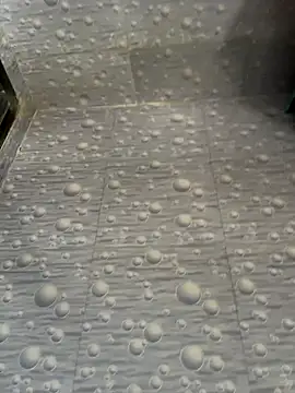 NoddingScorpion online show from 12/01/25, 08:26