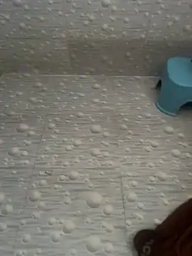 NoddingScorpion online show from 03/28/26, 05:08