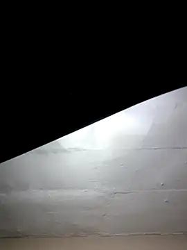 Snapshot of mileesha chatting on 01/17/26, 06:33 mileesha online show from 01/17/26, 06:33